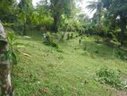 Land for sale in Matale