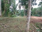 Land for sale in Matale