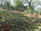 Land for Sale in Matale