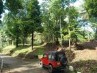 Land for Sale in Matale