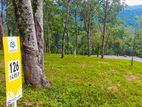Land For Sale In Matale