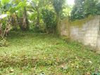 Land for sale in Matale
