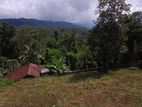 Land for sale in Matale