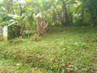 Land for sale in Matale