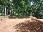 Land for sale in Matale