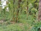 Land for Sale in Matale