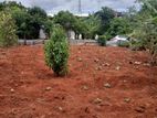 Land for sale in Matale