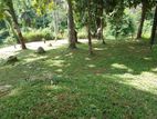 Land for sale in Matale