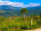 Land For Sale In Matale