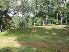 Land for sale in Matale