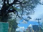 Land for sale in Matale
