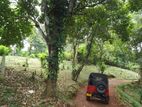 Land for sale in Matale