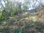 Land for sale in Matale