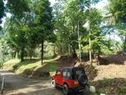 Land for Sale in Matale