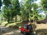 Land for Sale in Matale