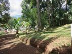 Land for sale in Matale