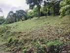 Land for sale in Matale
