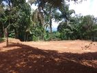 Land for sale in Matale