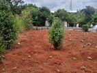 Land for sale in Matale