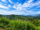 Land for Sale in Matale