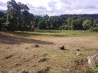 Land for sale in Matale