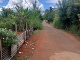 Land for sale in Matale
