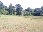 Land for sale in Matale