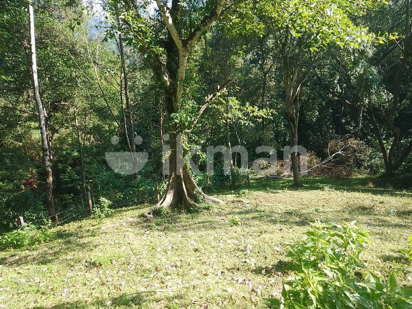 Land for sale in Matale | ikman