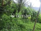 Land For Sale in Matale - මතලෙන් ඉඩමක් විකිණීමට