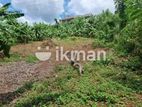 Land for Sale in Matale - Palapathwela