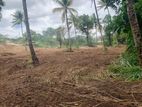 Land for Sale in Matale - THI0090L