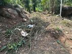 Land for Sale in Matale Town