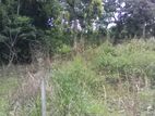 Land for Sale in Matara