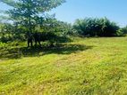 Land for sale in Matara