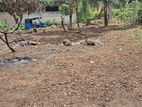 Land for Sale in Matara