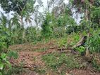 Land for Sale in Matara