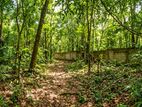 Land for Sale in Matara