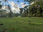 Land for Sale in Matara Kaburugamuwa