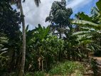 Land for Sale in Matara Kekanadura