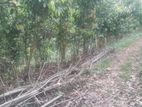 Land for Sale in Matara Kirinda