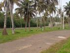 Land for sale in matara labeema