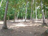Land for Sale in Matara Makavita