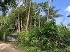 Land for Sale in Matara, Palatuwa