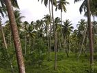 Land for Sale in Matara Suburbs –Code Add 121