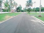 Land for Sale in Matara Walgama