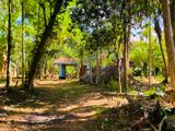 Land For Sale In Matara,walasmulla
