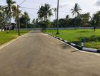 Land for Sale in Matara,walgama