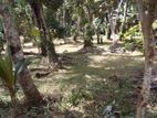 Land for Sale in Mathalana 46.17 P