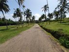 Land for Sale in Mathara