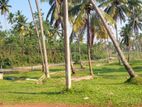 Land for Sale in Mathara